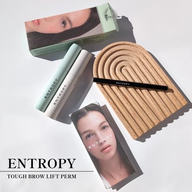 タフブローリフトキット/ENTROPY/その他キットセットを使ったクチコミ（1枚目）