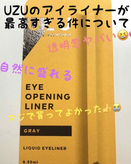 EYE OPENING LINER/UZU BY FLOWFUSHI/リキッドアイライナーを使ったクチコミ(1枚目)