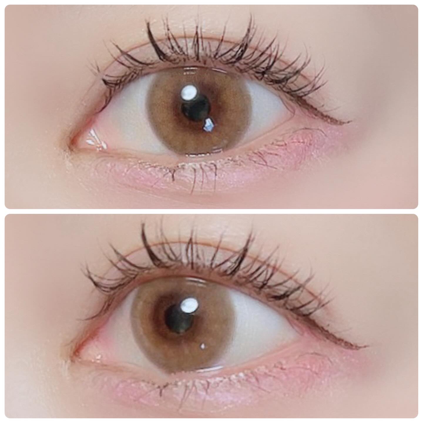 フレンチシャイン 1month/OLENS/１ヶ月（１MONTH）カラコンを使ったクチコミ（2枚目）