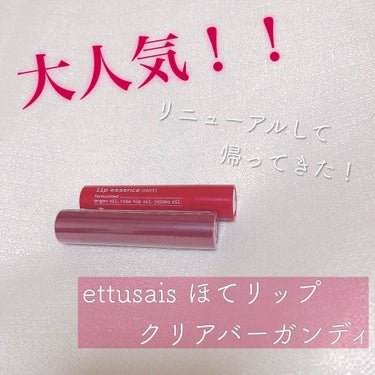 エテュセ リップエディション（プランパー）リッチスタイル/ヘルシースタイル/ettusais/リップケア・リップクリームを使ったクチコミ（1枚目）