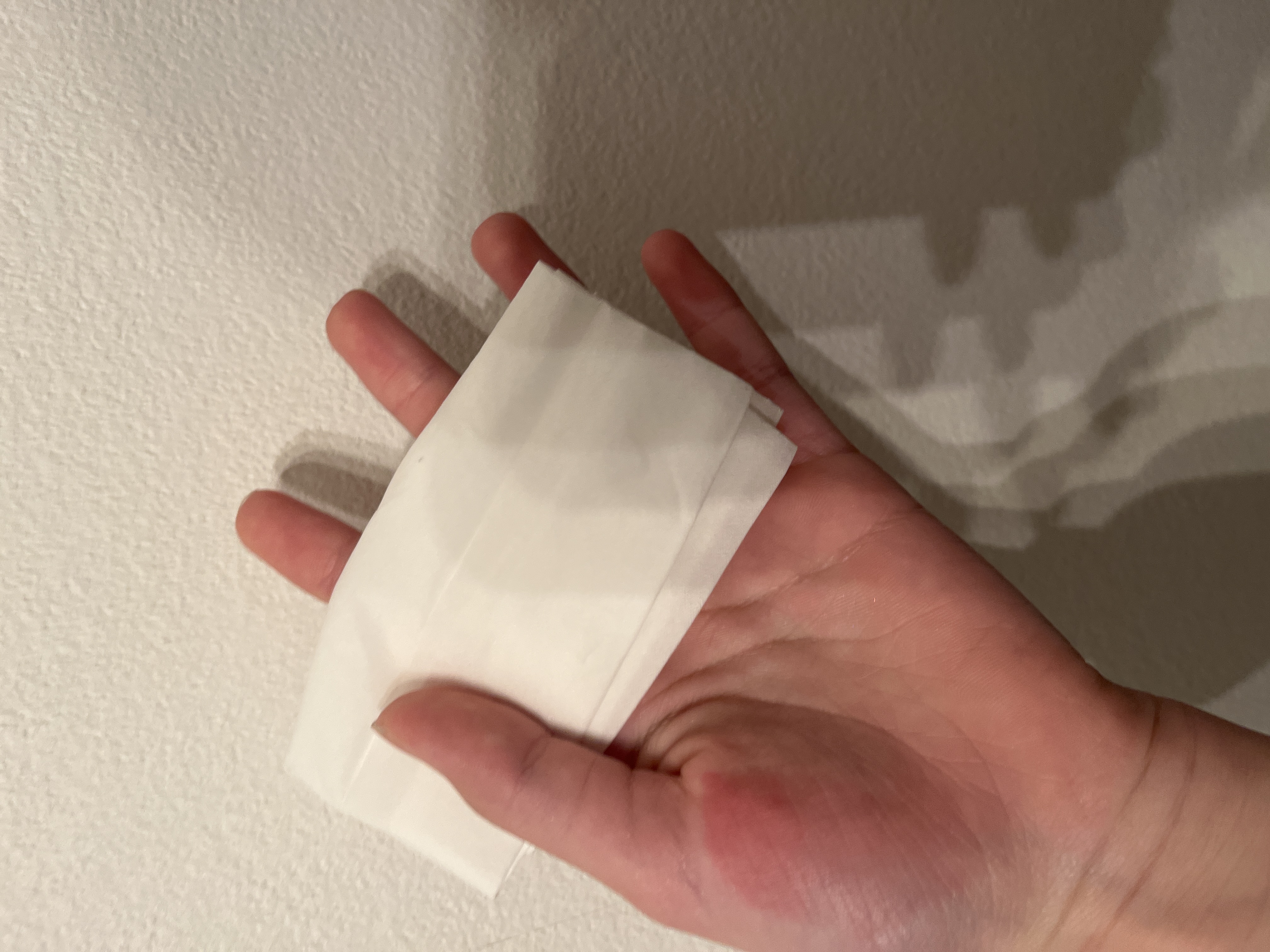 ローティント/BBIA/リップティントを使ったクチコミ（3枚目）