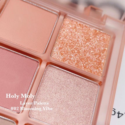 ホーリーモリーレイヤーパレット/HAKIT/アイシャドウパレットを使ったクチコミ(6枚目)