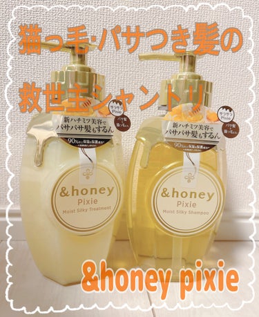 【使った＆honey ピクシーモイストシルキー　シャンプー1.0/ヘアトリートメント2.0
各¥1540



LIPSを通じて&honey様よりご提供頂きました！
&honeyさんのラインナップ大好き