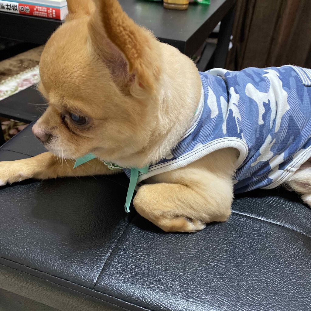 リファイニング ソリューションズ コレクティング セラム/CLINIQUE/美容液を使ったクチコミ（3枚目）