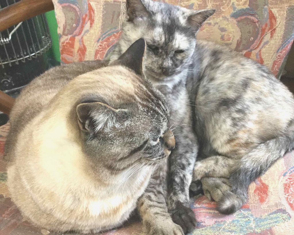 ニベアクリーム/ニベア/ボディクリームを使ったクチコミ(4枚目)