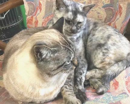 ニベアクリーム/ニベア/ボディクリームを使ったクチコミ(4枚目)