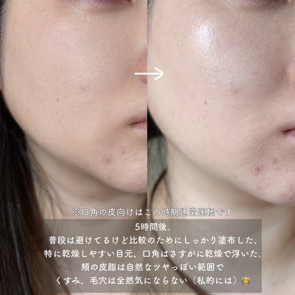 ルース パウダー/DECORTÉ/ルースパウダーを使ったクチコミ(6枚目)