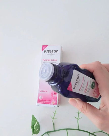 ワイルドローズ モイスチャーローション/WELEDA/化粧水を使ったクチコミ(3枚目)