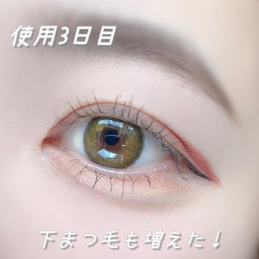 リシェルラッシュセラム/Richelle LASH serum/まつげ美容液を使ったクチコミ（4枚目）