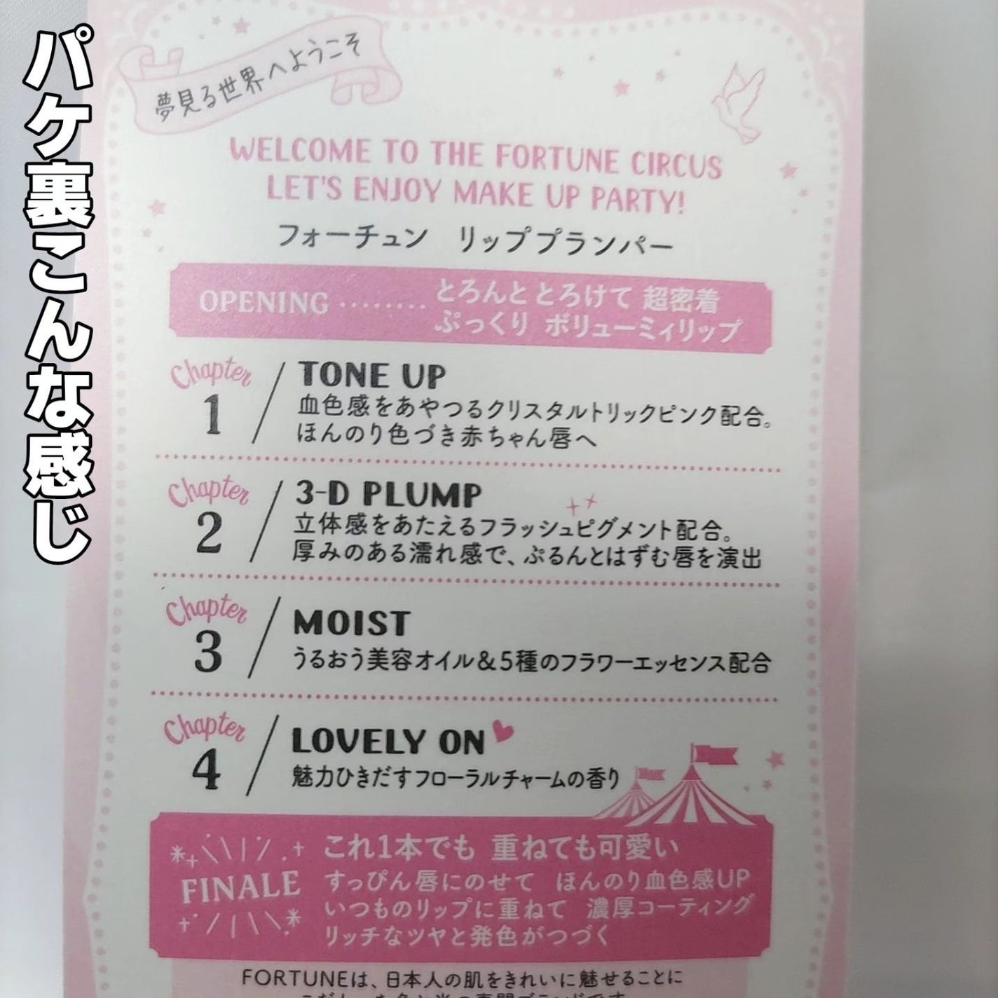 リッププランパー/フォーチュン/リッププランパーを使ったクチコミ(5枚目)