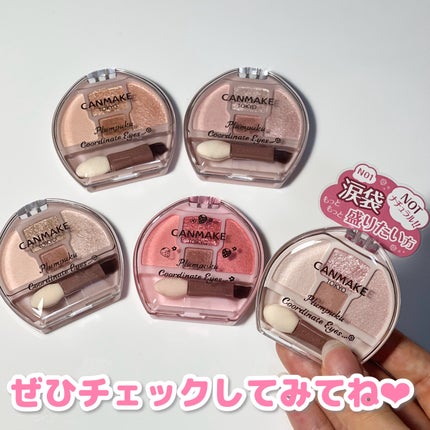プランぷくコーデアイズ/キャンメイク/パウダーアイシャドウを使ったクチコミ(10枚目)
