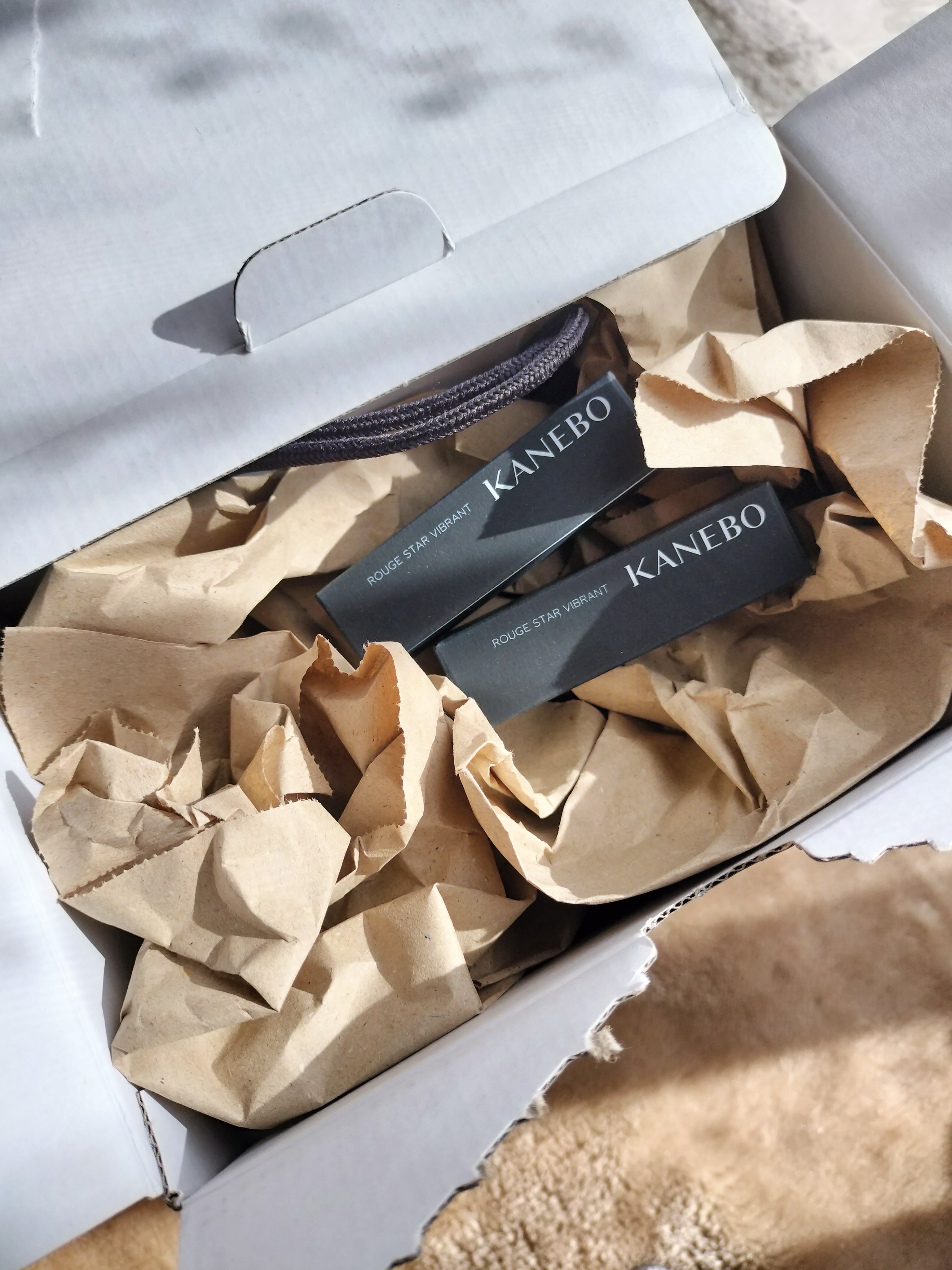 ルージュスターヴァイブラント EX2 Sweet Up/KANEBO/口紅を使ったクチコミ（1枚目）