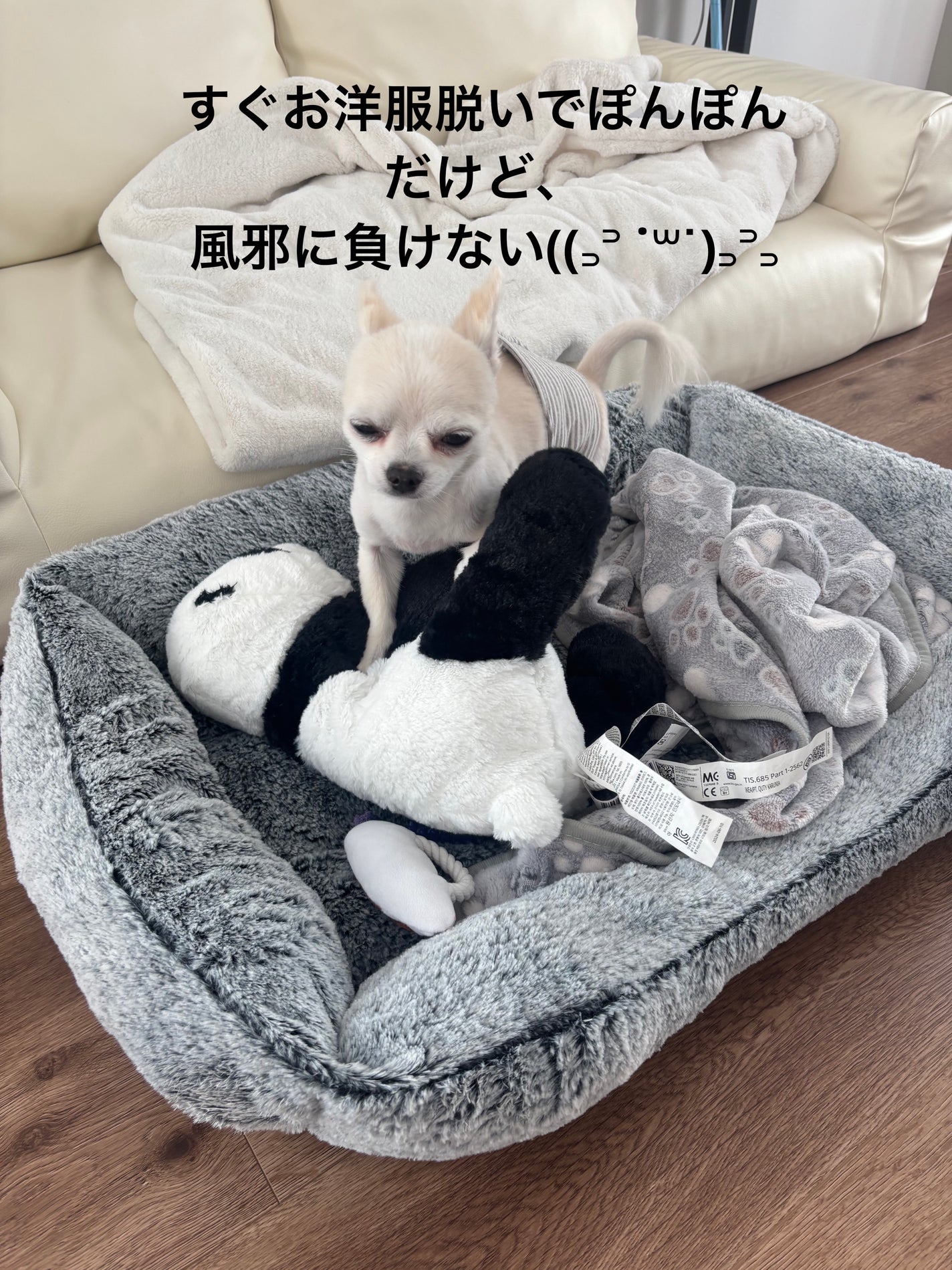 極上はちみつ紅茶/ラクシュミー/ドリンクを使ったクチコミ(7枚目)