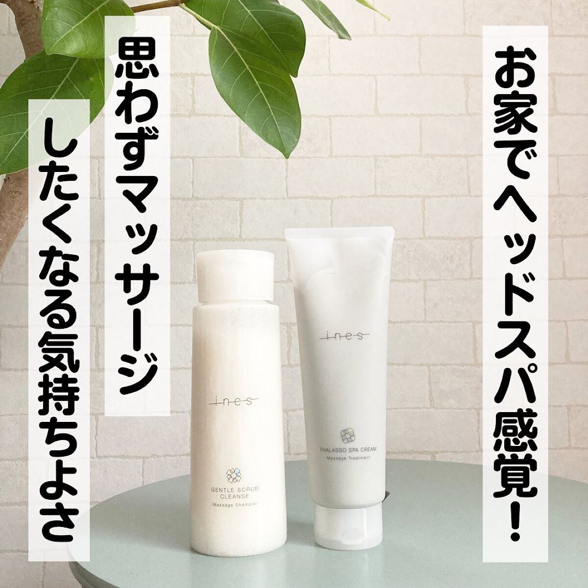 ジェントル スクラブ クレンズ/ines/市販シャンプーを使ったクチコミ(1枚目)