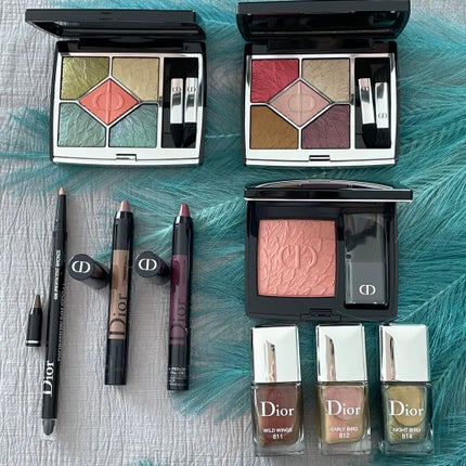 サンク クルール クチュール<バーズ オブ ア フェザー>/Dior/アイシャドウパレットを使ったクチコミ(1枚目)