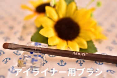 Ebony 10/Ancci brush/メイクブラシを使ったクチコミ（5枚目）