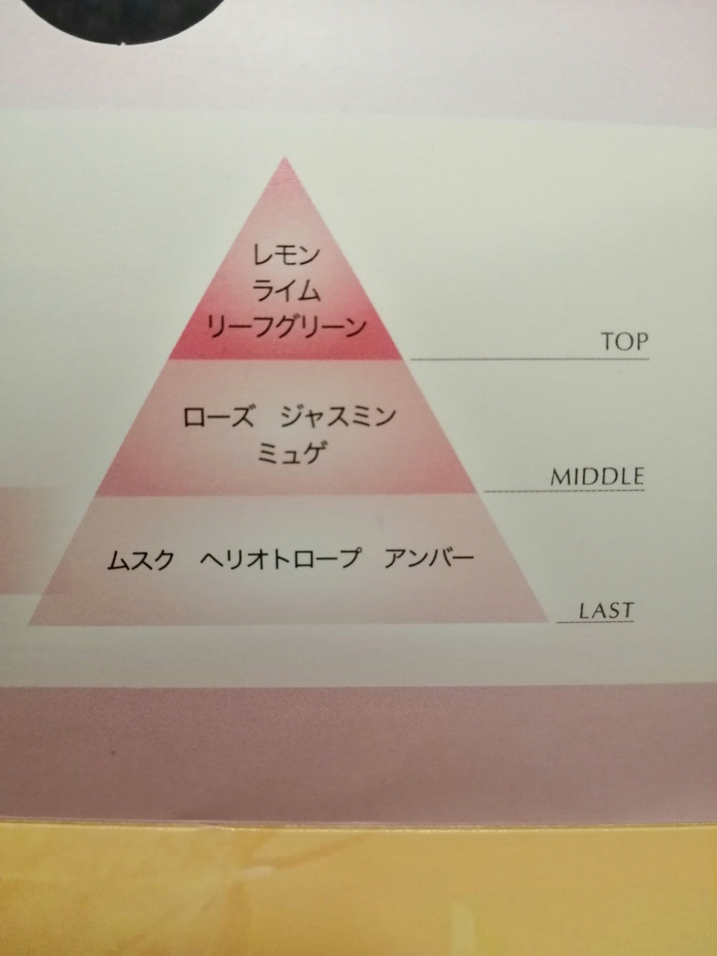 シットリセラム/ノエビア/美容液を使ったクチコミ(5枚目)