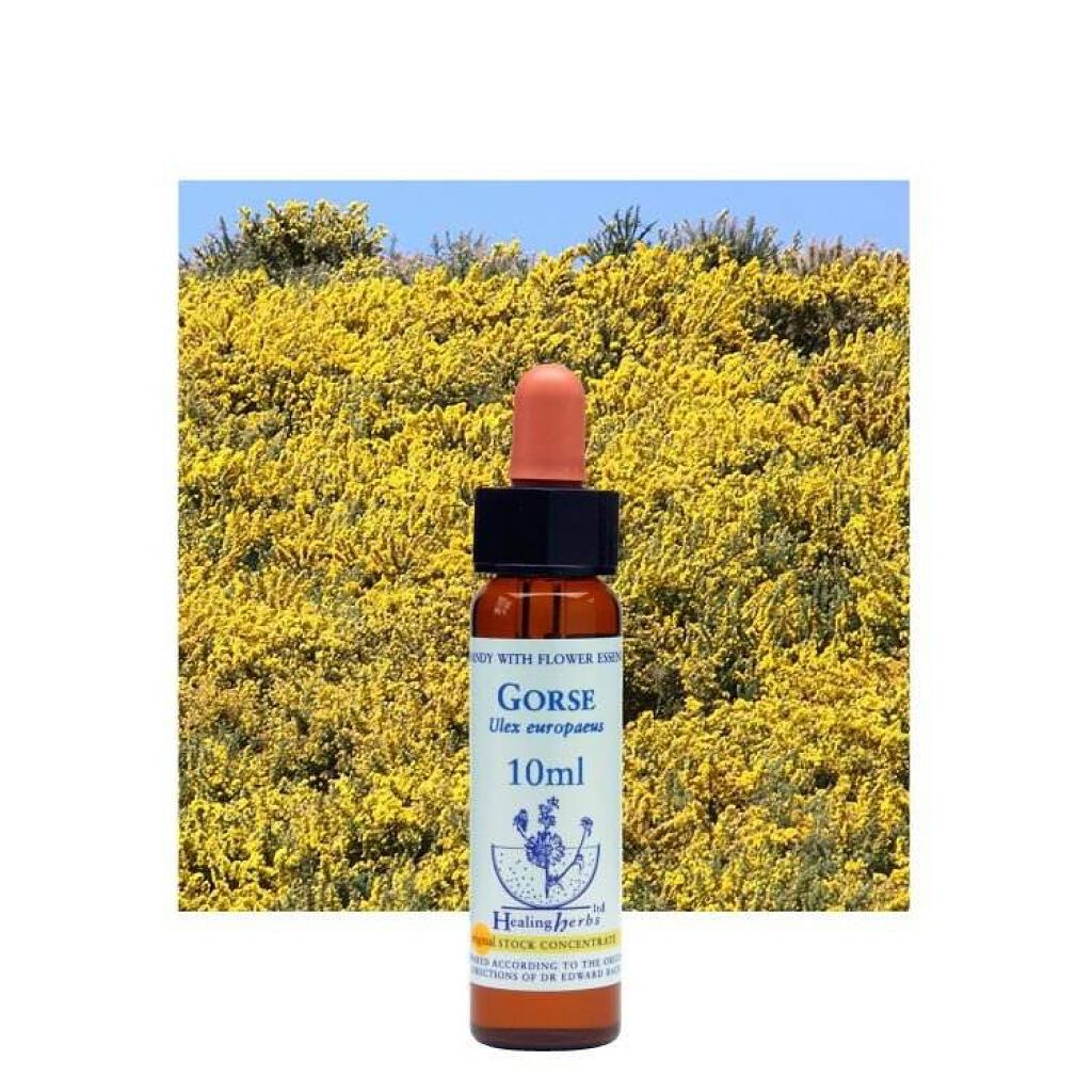 ヒーリングハーブフラワーエッセンス ゴース