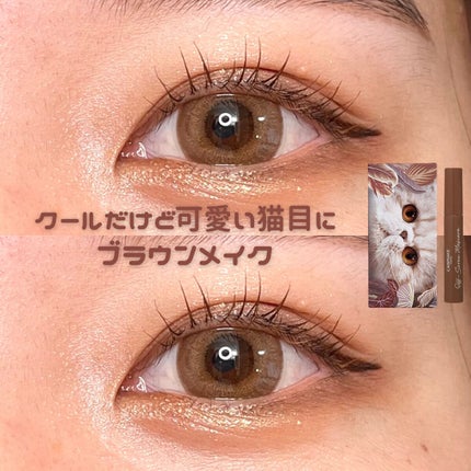 エクスプローラ12色 動物アイシャドウパレット/PERFECT DIARY/アイシャドウパレットを使ったクチコミ(1枚目)