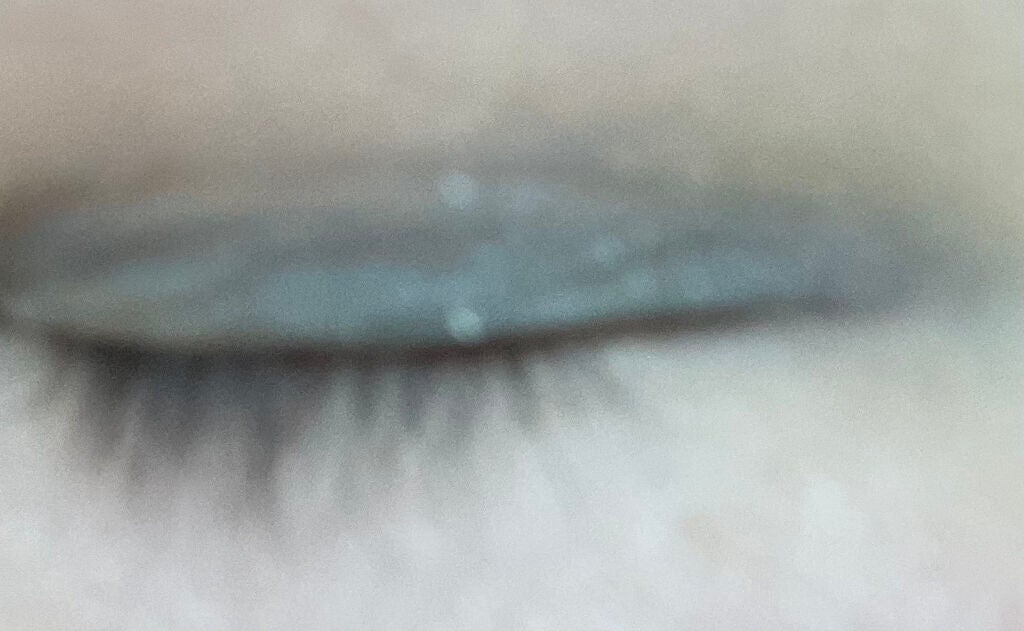 【旧品】パーフェクトスタイリストアイズ/キャンメイク/アイシャドウパレットを使ったクチコミ(1枚目)