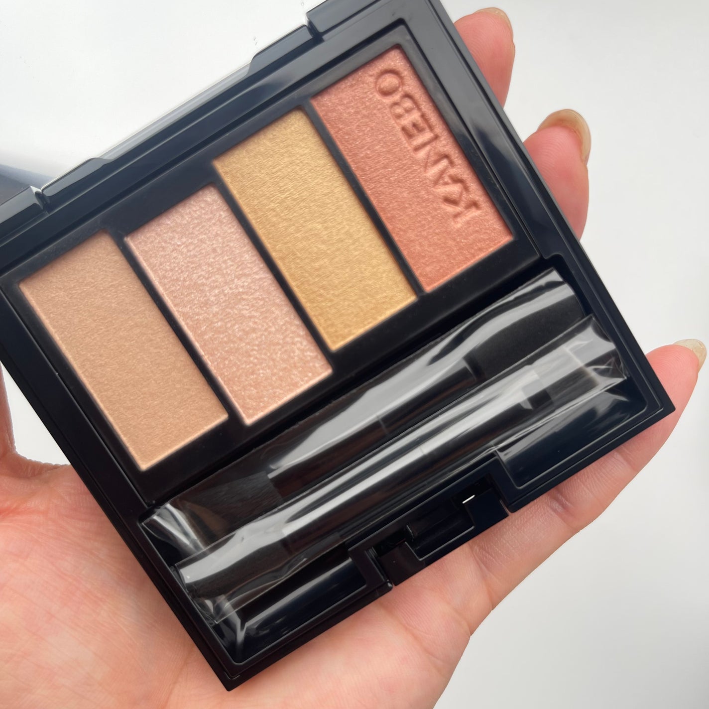 カネボウ Nールージュ/KANEBO/口紅を使ったクチコミ(4枚目)