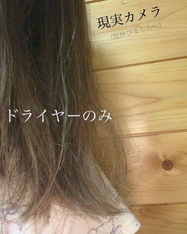 ボタニカルヘアオイル（ダメージケア）/BOTANIST/ヘアオイルを使ったクチコミ（3枚目）