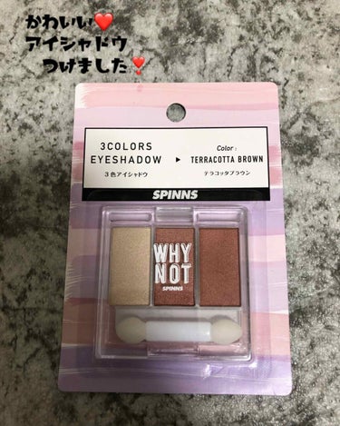 WHY NOT SPINNS 3色アイシャドウ テラコッタブラウン/DAISO/アイシャドウパレットを使ったクチコミ（1枚目）