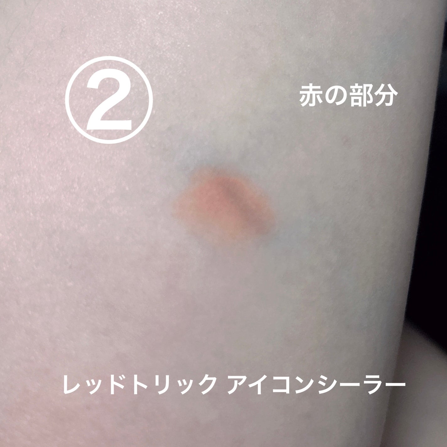 トーンパーフェクティング パレット/DECORTÉ/パレットコンシーラーを使ったクチコミ(3枚目)