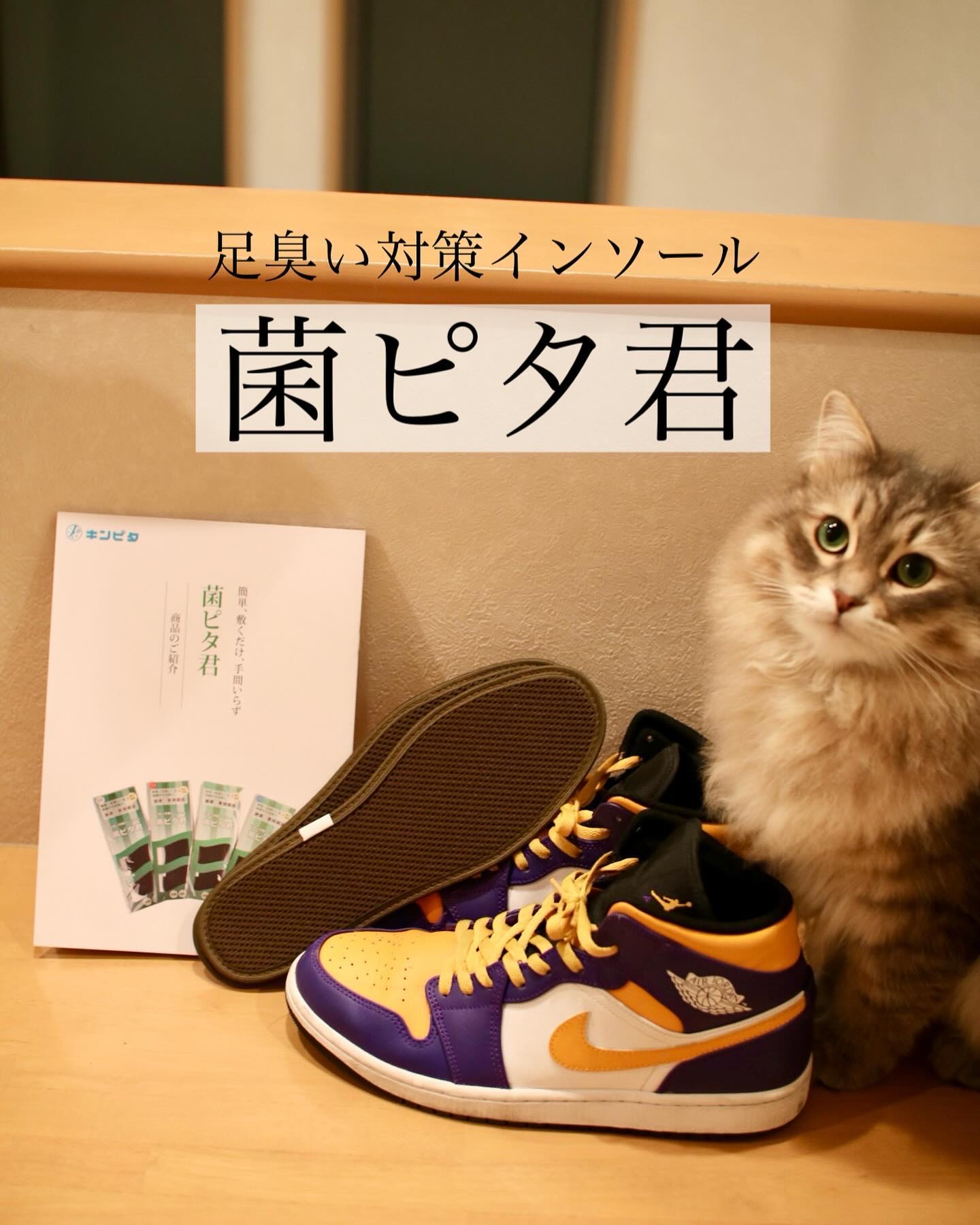 足の臭い対策インソール　菌ピタ君/キンピタ/レッグ・フットケアを使ったクチコミ（1枚目）