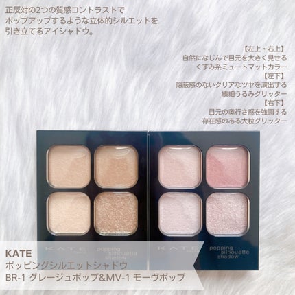 ケイト ポッピングシルエットシャドウ/KATE/アイシャドウパレットを使ったクチコミ(2枚目)