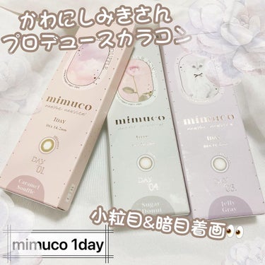 mimuco 1day キャラメルスフレ/mimuco/ワンデー（１DAY）カラコンを使ったクチコミ（1枚目）