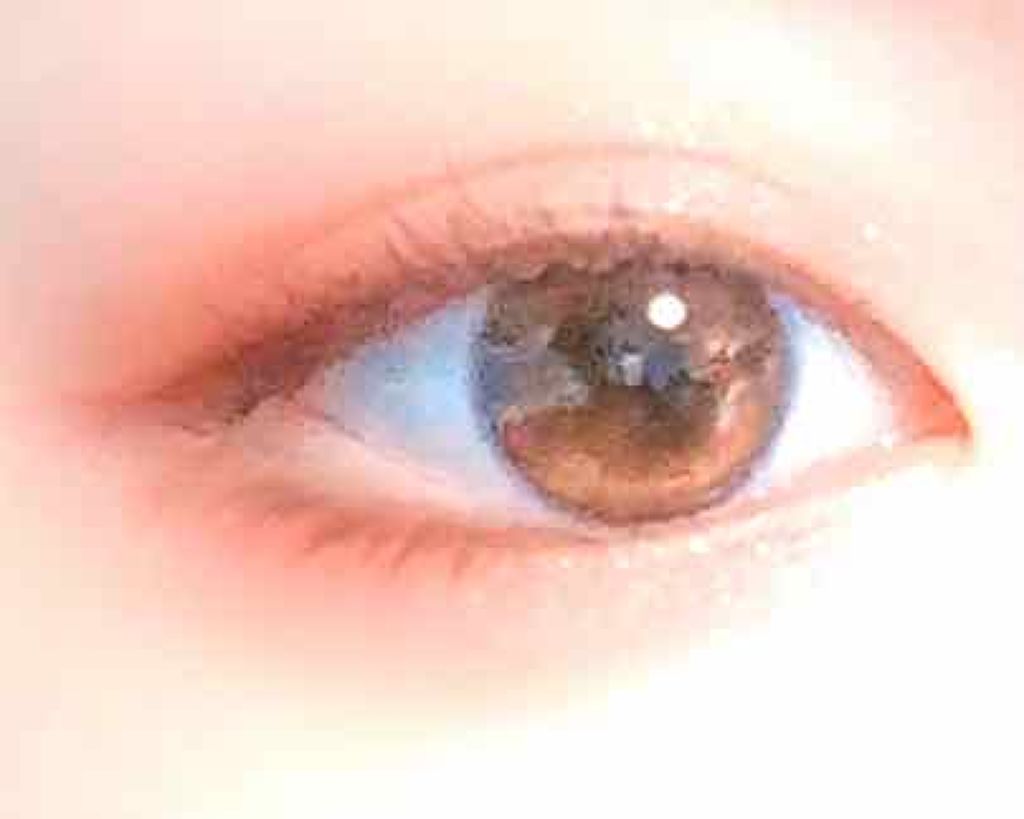 ナチュラル チークN/CEZANNE/パウダーチークを使ったクチコミ（1枚目）