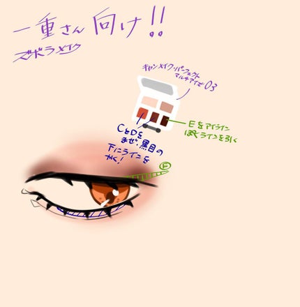パーフェクトマルチアイズ/キャンメイク/アイシャドウパレットを使ったクチコミ(5枚目)
