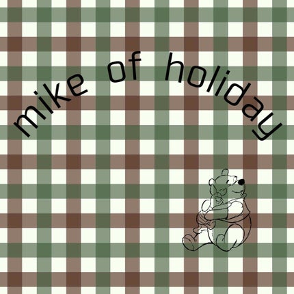 【旧品】パーフェクトスタイリストアイズ/キャンメイク/アイシャドウパレットを使ったクチコミ(1枚目)