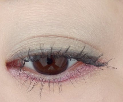 アイカラー コレクション/レ・メルヴェイユーズ ラデュレ/アイシャドウパレットを使ったクチコミ(4枚目)