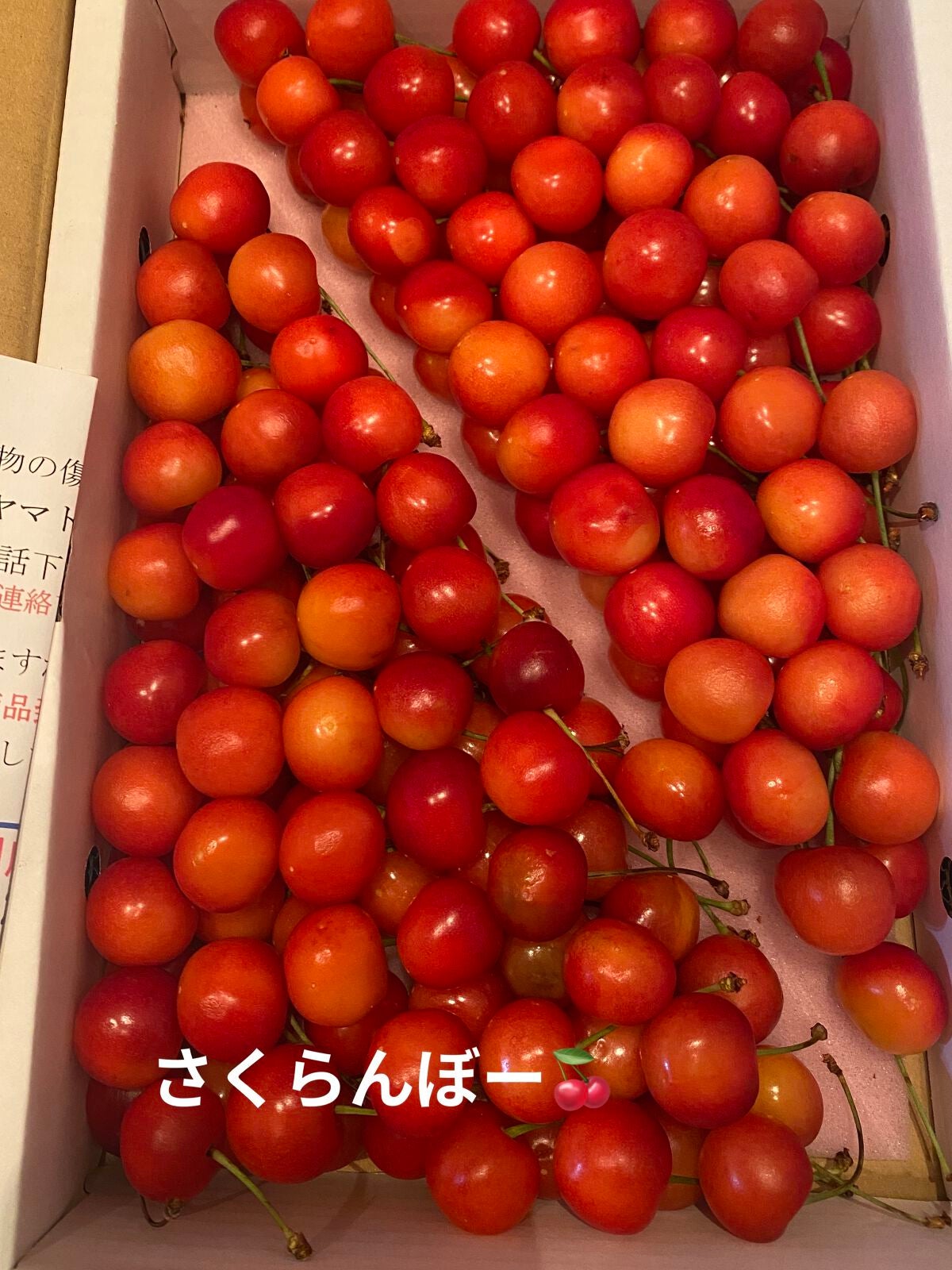 東北ルルルン(さくらんぼの香り)/ルルルン/シートマスク・パックを使ったクチコミ(6枚目)