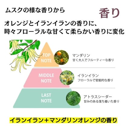 フォルムナチュラル リペアシャンプー モイスト/forme natural/市販シャンプーを使ったクチコミ(5枚目)