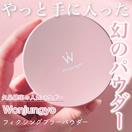 ウォンジョンヨ フィクシングブラーパウダー N/Wonjungyo/ルースパウダーを使ったクチコミ(1枚目)