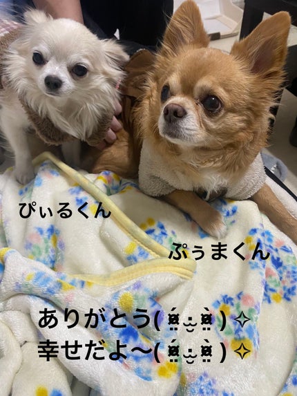 ソレイユ アイ カラー クォード/TOM FORD BEAUTY/アイシャドウパレットを使ったクチコミ(6枚目)