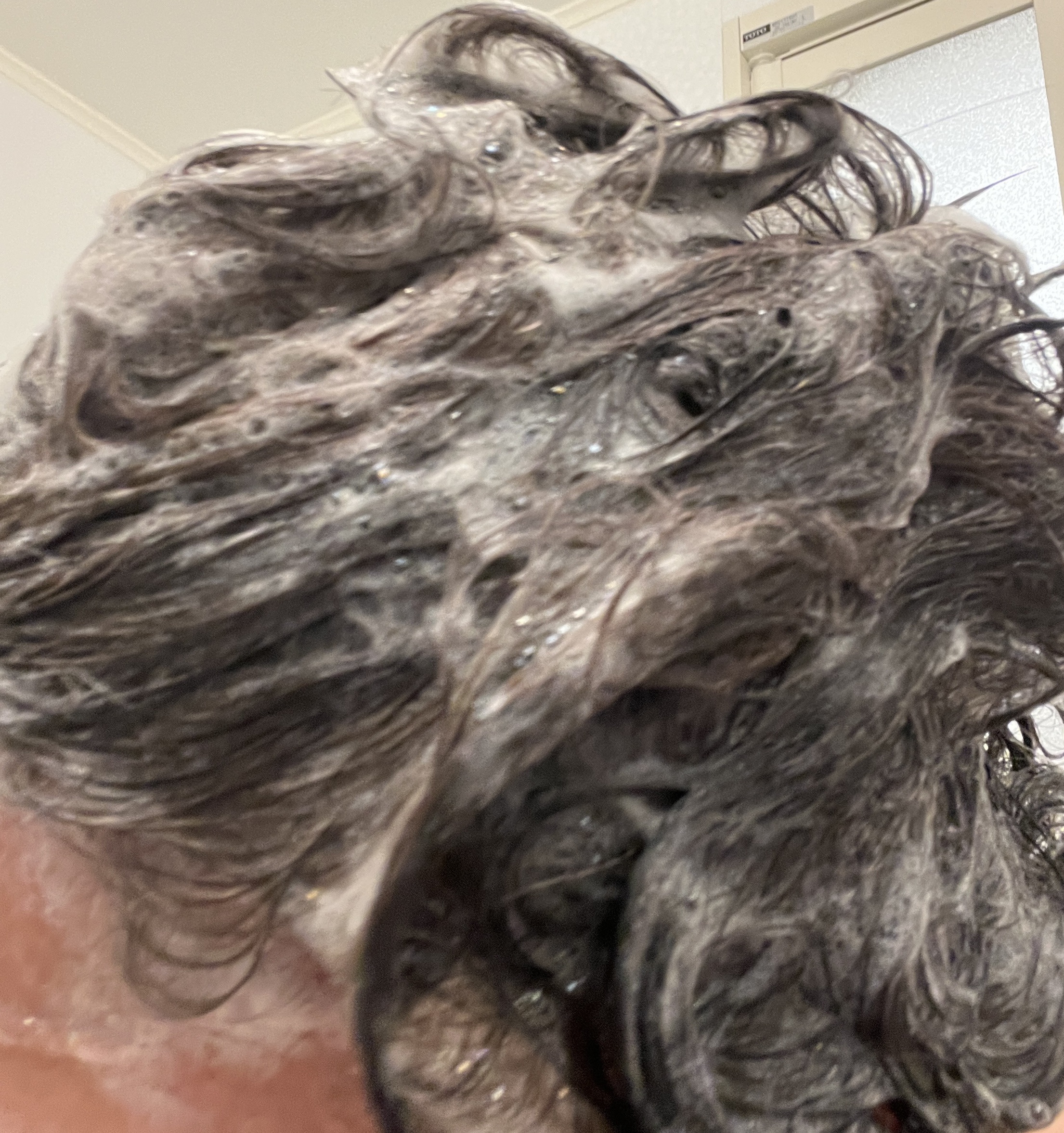 シトラスパ スムース シャンプー&ヘアトリートメント/コスメテックスローランド/市販シャンプーを使ったクチコミ（3枚目）