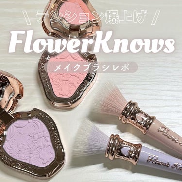 クリスタルユニコーンシリーズ スティッピンクブラシ/FlowerKnows/メイクブラシを使ったクチコミ（1枚目）