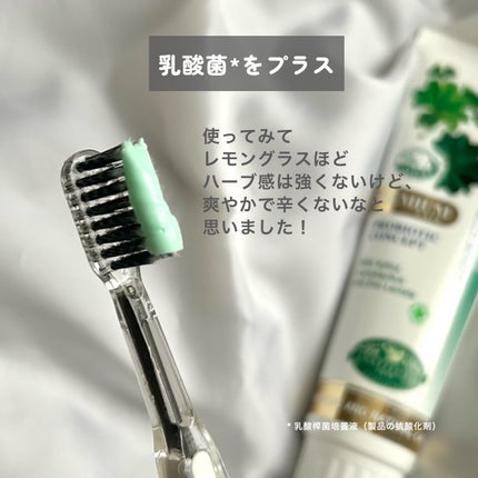 デンティス Pro-B チューブタイプ/デンティス/歯磨き粉を使ったクチコミ(2枚目)