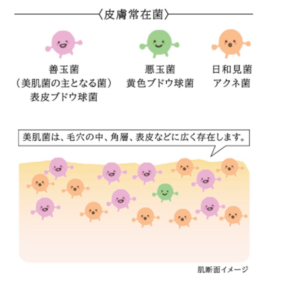 バランスケア ローション MB/d プログラム/化粧水を使ったクチコミ(6枚目)