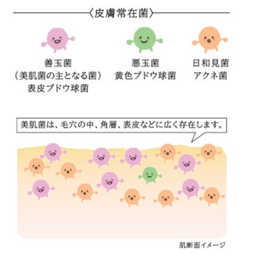 バランスケア ローション MB 本体/d プログラム/化粧水の画像