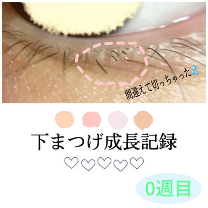 ラッシュジェリードロップ EX/MAJOLICA MAJORCA/まつげ美容液を使ったクチコミ(1枚目)