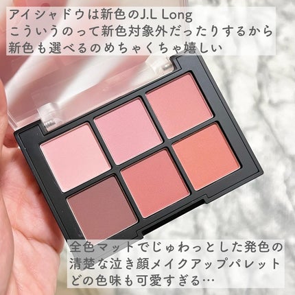 ブラーフィニシュシャドウパレット/Dinto/アイシャドウパレットを使ったクチコミ(4枚目)