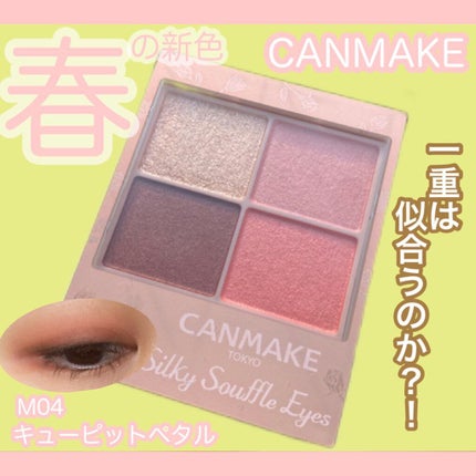 シルキースフレアイズ(マットタイプ)/キャンメイク/アイシャドウパレットを使ったクチコミ(1枚目)
