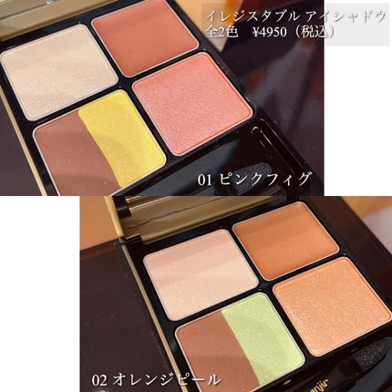 イレジスタブル アイシャドウ/anjir/アイシャドウパレットを使ったクチコミ(3枚目)