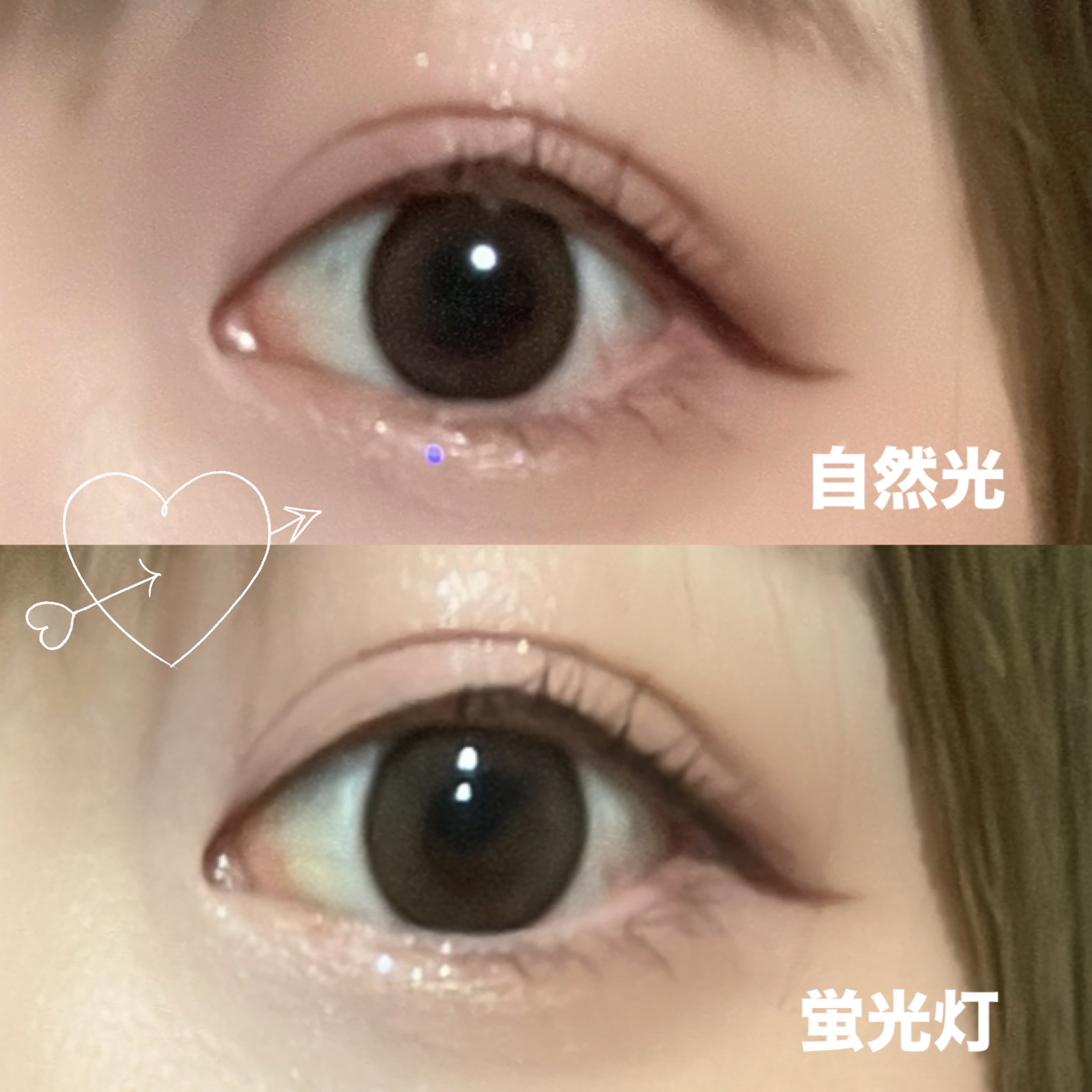 ベターザンパレット/rom&nd/アイシャドウパレットを使ったクチコミ（2枚目）