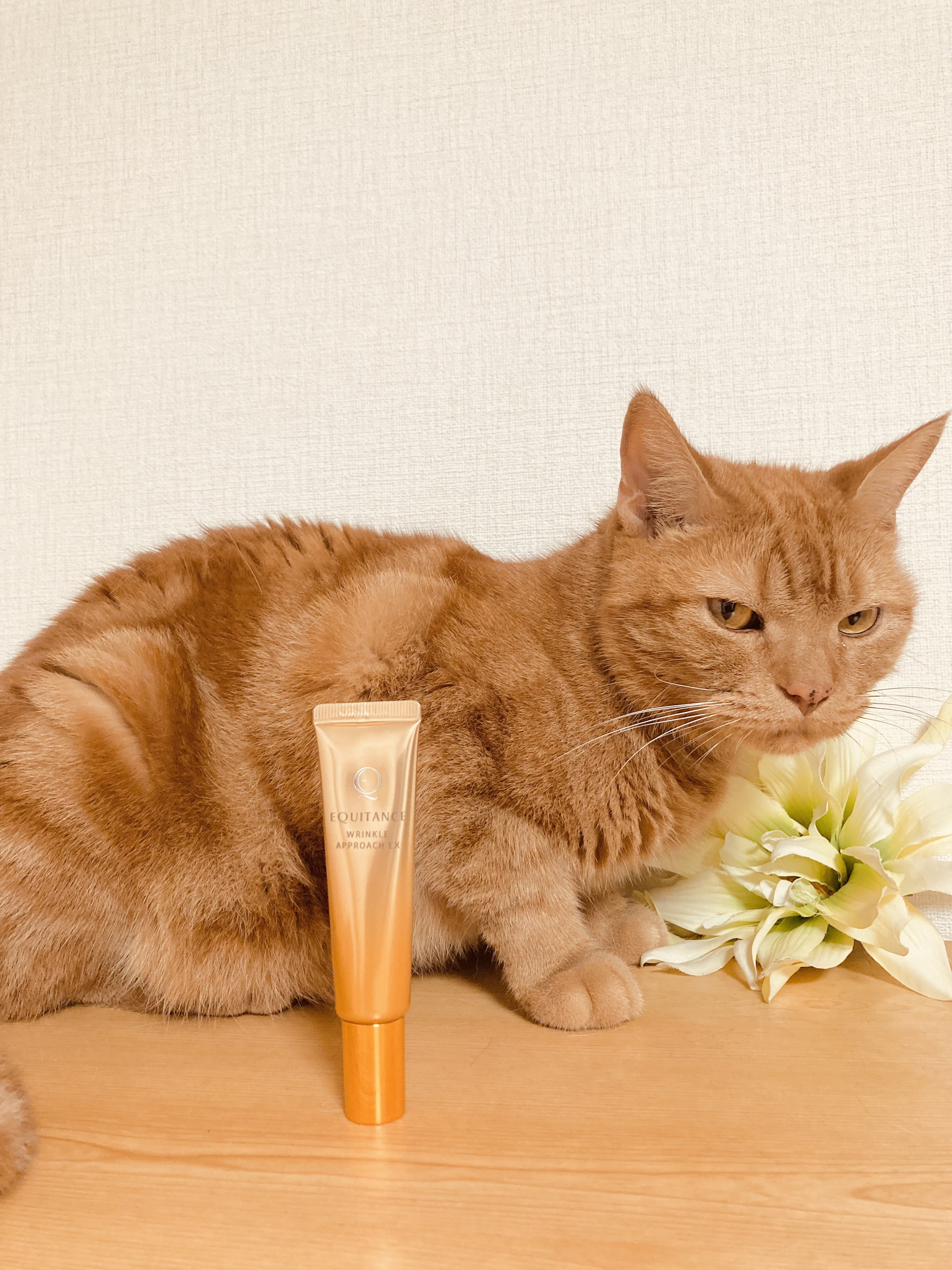 リンクルアプローチEX/エクイタンス/フェイスクリームを使ったクチコミ（1枚目）